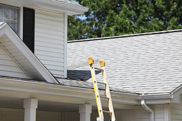 Best Stone Veneer Siding  in Warrior, AL